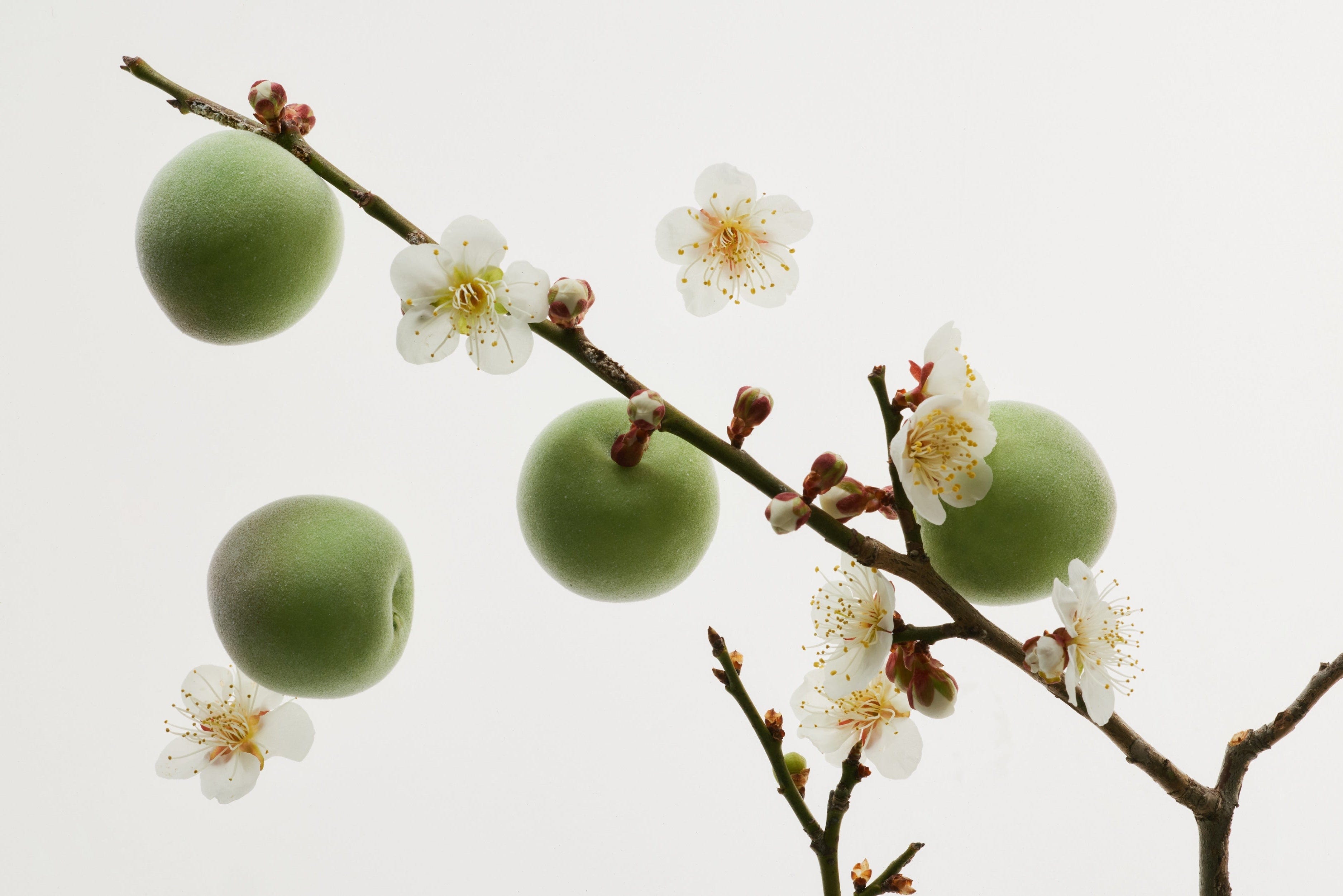 Hanbang Skincare Secrets: How to Exfoliate Without Irritation