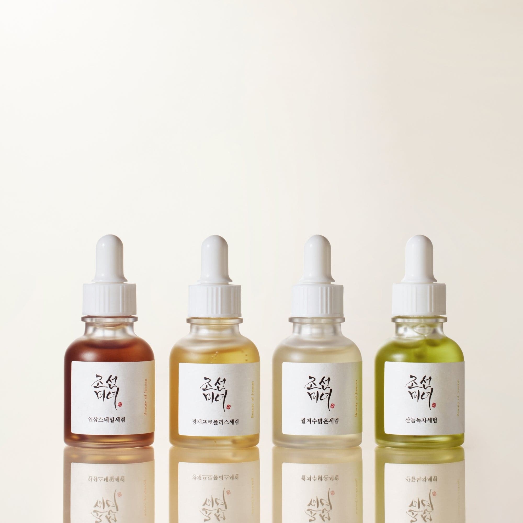 Beauty of Joseon Perfect Hanbang Palette